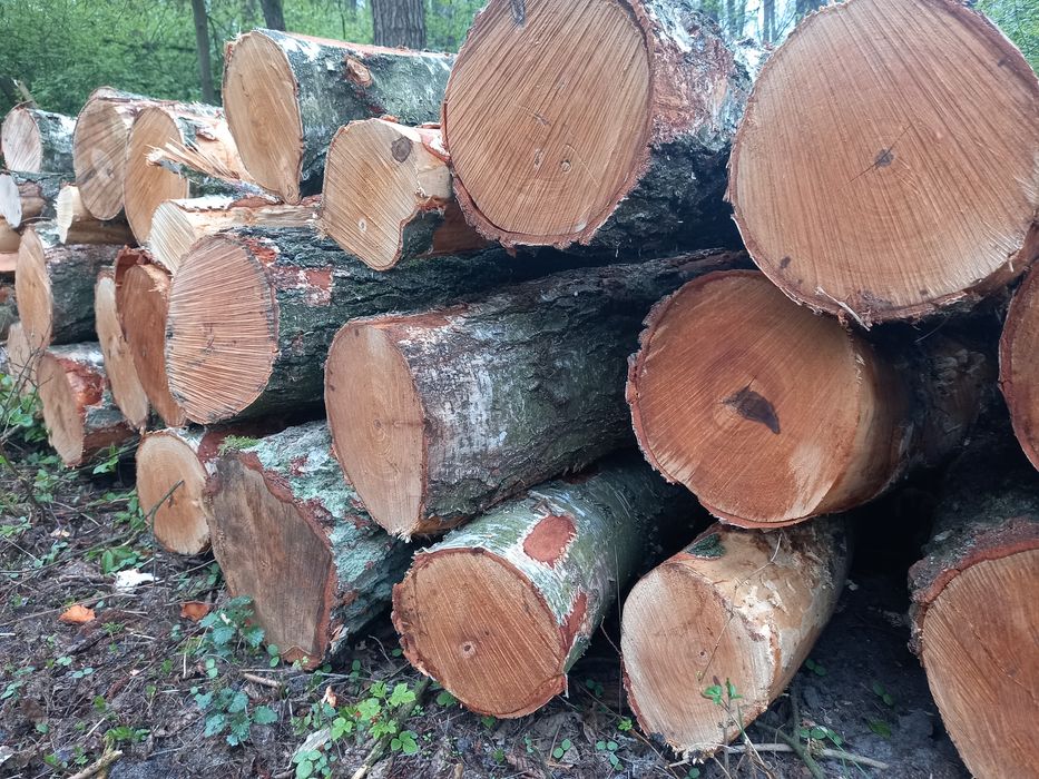 Drewno Opałowe i Kominkowe z Transportem