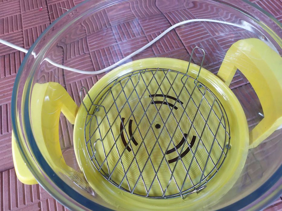 Halogen Oven Mango