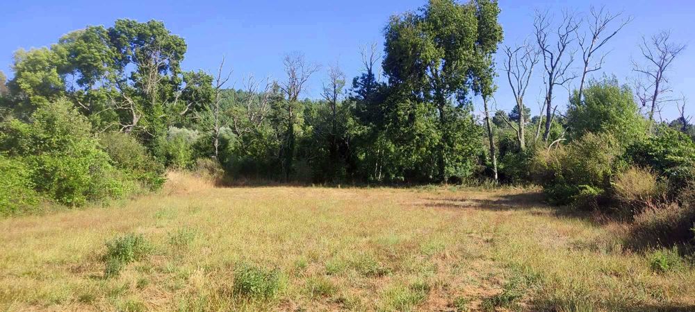 Terreno junto a Ribeira com água cristalina