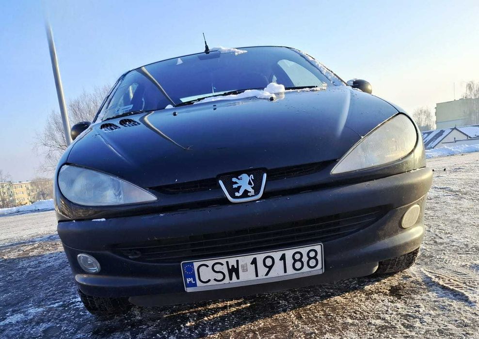 Peugeot 206 - mały ale wariat
