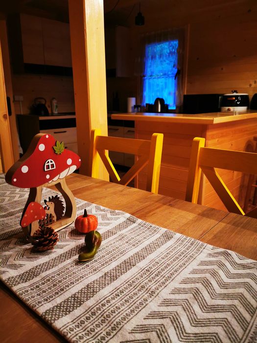 Domki 12, 8 i 7 osobowe  nad zalewem chańcza do wynajecia balia sauna