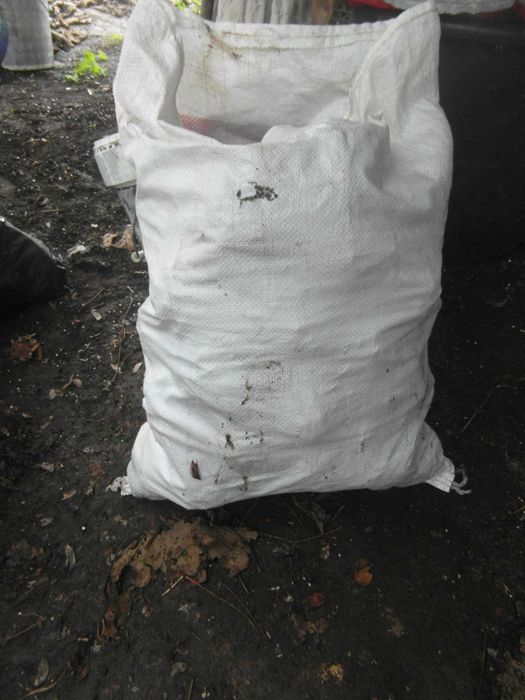 Pinhas 50 saco secas