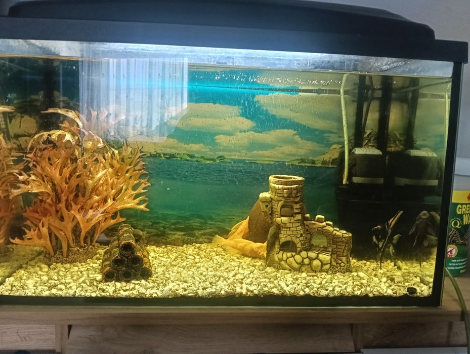Akwarium sprzedam
