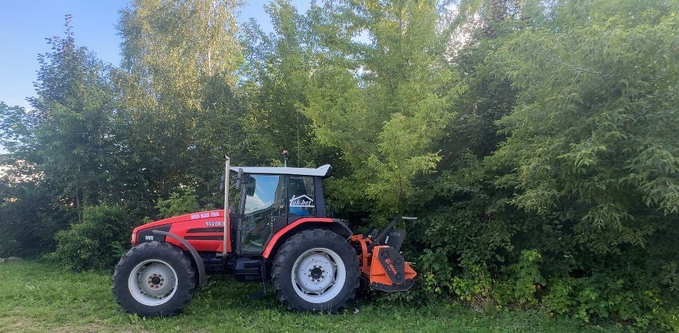 Mulczer czyszczenie działek