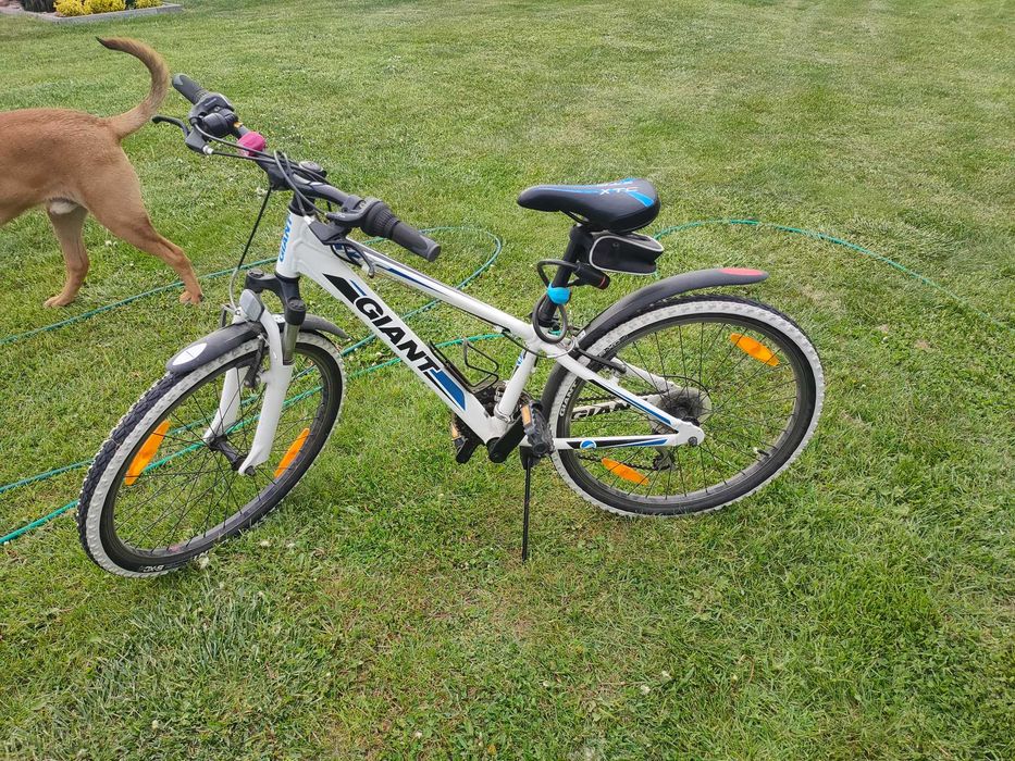 Rower górski GIANT lub AUTHOR koła 24 cale