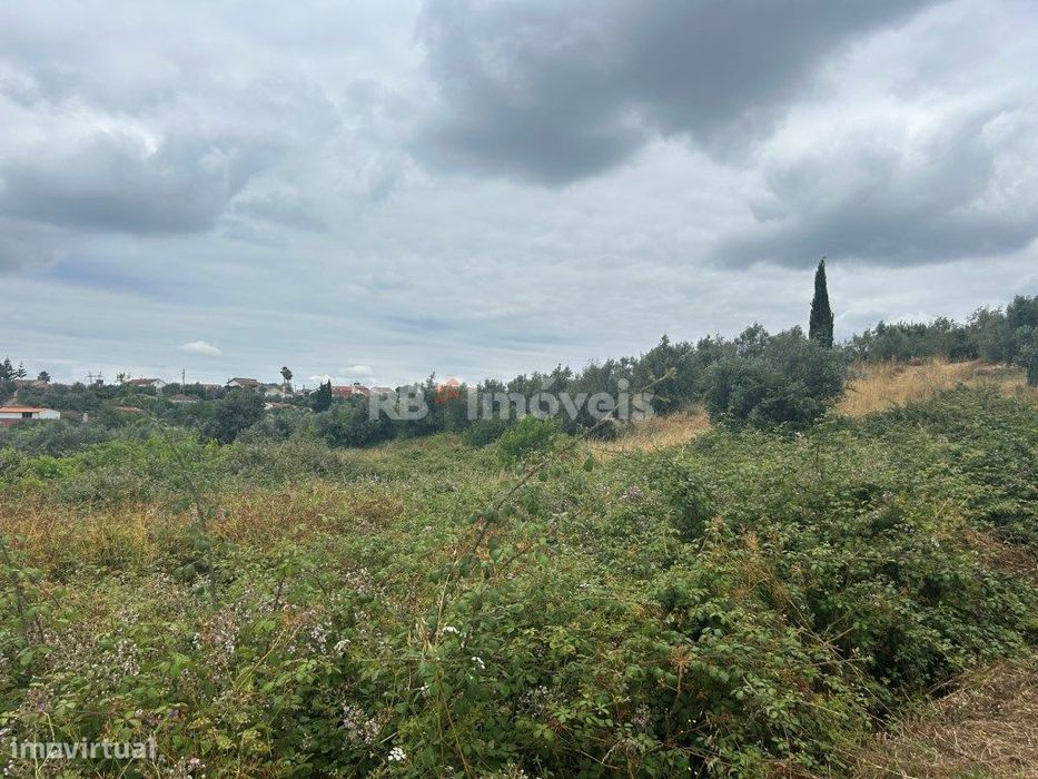 Terreno Agrícola em Chão das Maias - Tomar