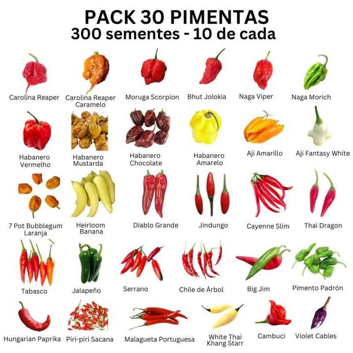 KIT PACK 30 Variedades de Pimentas Malaguetas do MUNDO 300 sementes