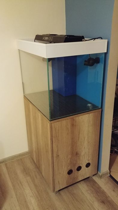 Akwarium morskie zestaw