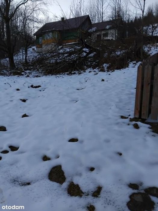 Sprzedaż gospodarstwa z widokiem na Babią Górę – ok. 2,5 ha - Widok 5