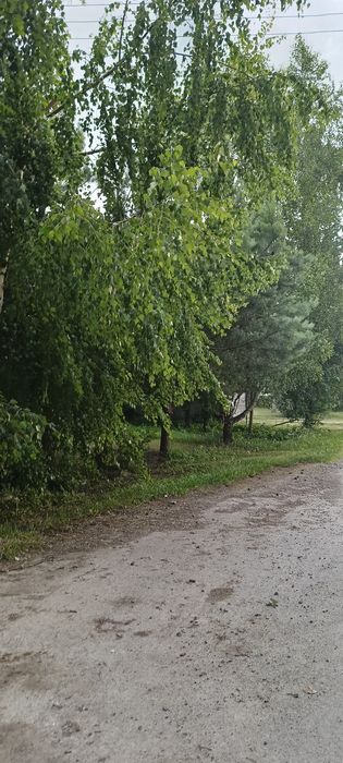 Siedlisko Grabowiec - View 2