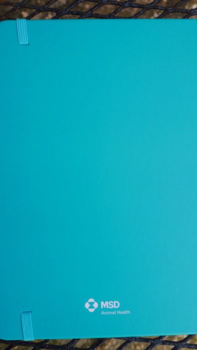 Cadernos Cães & Buenos Aires / Notebooks