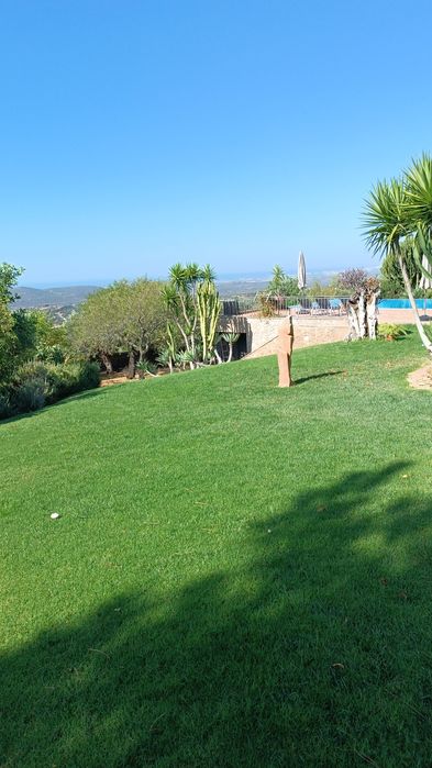 Serviços Jardinagem&Paisagismo