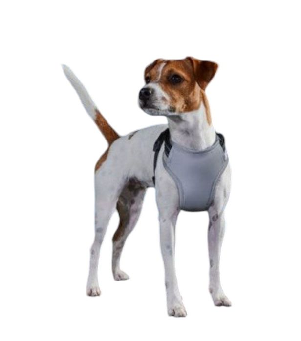 Продам нову світловідбивну шлейку для собак XS