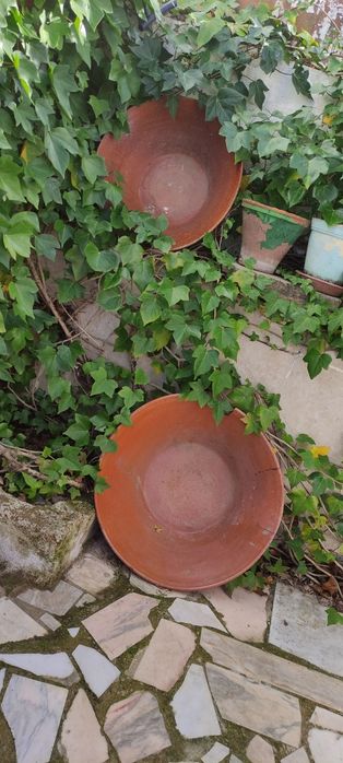 Lote de 5 grandes alguidares de barro antigos