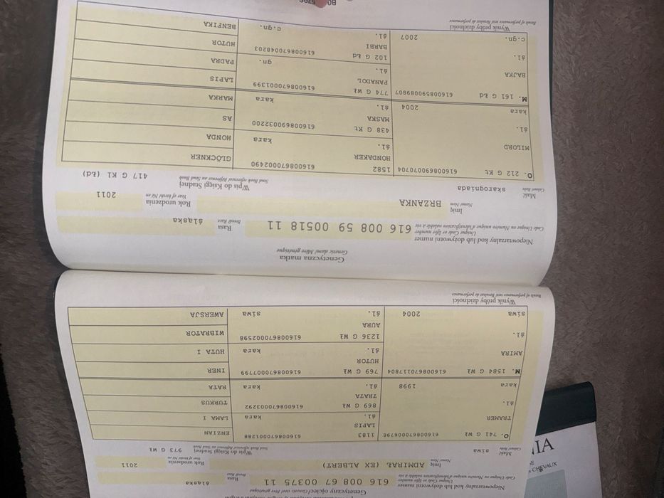 Sprzedam ogierka śląskiego