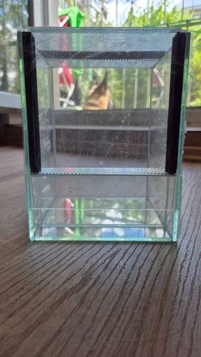 Terrarium dla skakuna modliszki dobrze wentylowane szklane nowe 15x15x20 gilotyna
