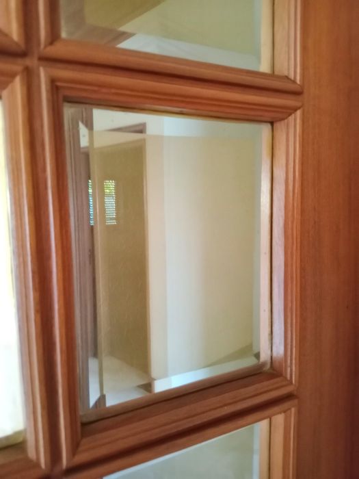 1porta de interiore com vidros lapidados