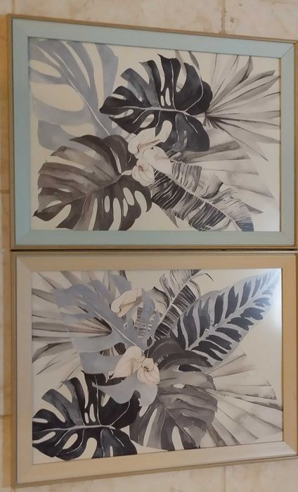 Frames 47x35 cm64730093366785121