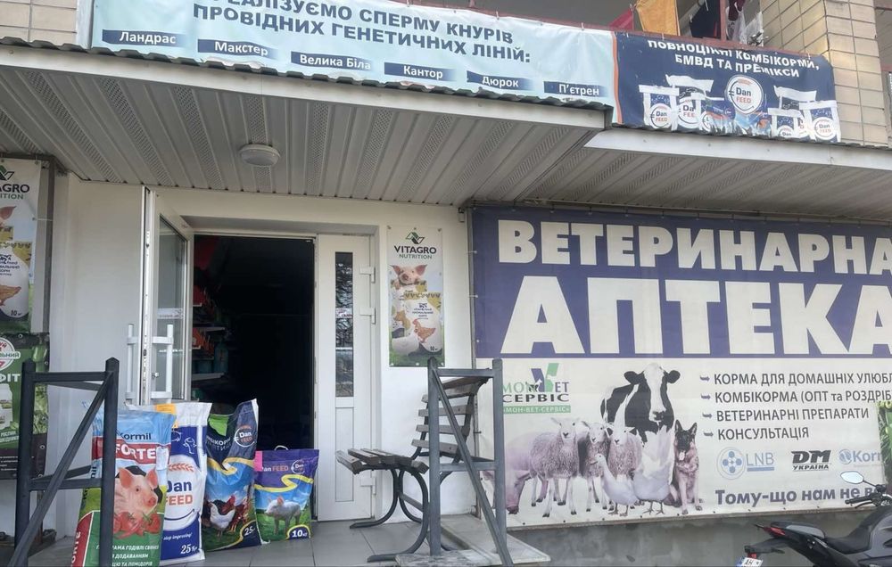 Сімʼя кнура, спермдози, штучне запліднення