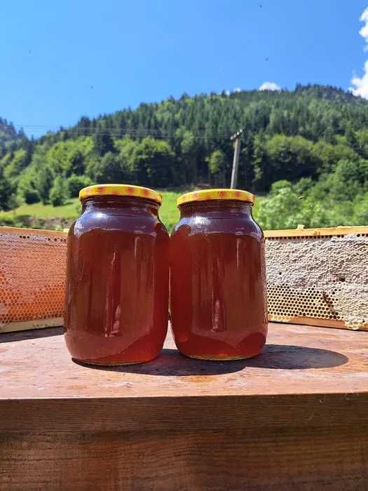 Натуральний мед Липа з Чебрецем (свіжий збір)