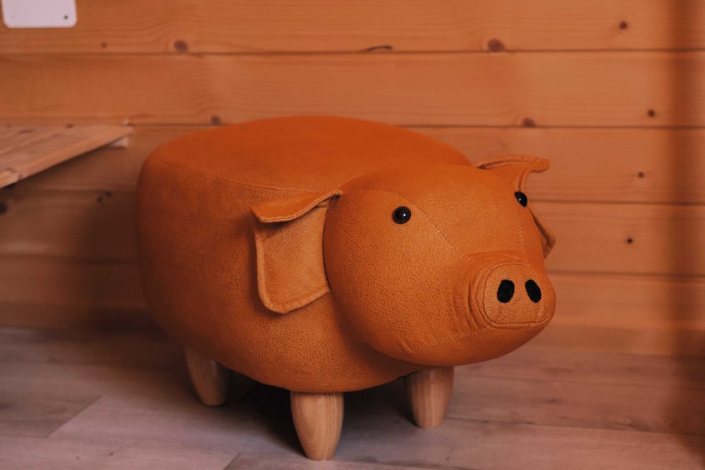 Drewniany Domek nad Dunajcem w Szczawnicy