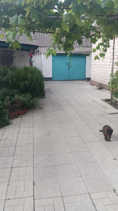 Продам будинок. В аренду не здається.