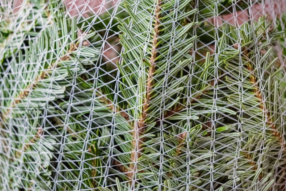 LZ45 Siatka do pakowania choinek 45cm x 300m MESHPACK