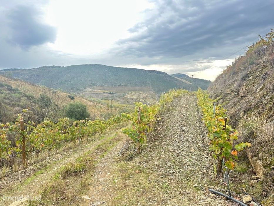 'Quinta de 16 Hectares no Coração do Parque Natural do Douro, em Fr...