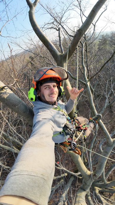 Wycinka Pielęgnacja drzew Arborystyka Zrębkowanie gałęzi. DN ARBO