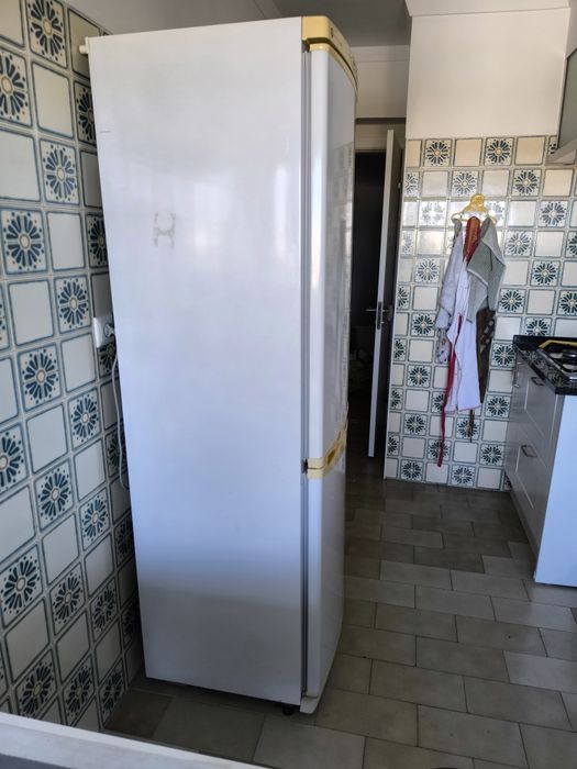 Frigorífico Combinado LG (GR-399SQ) – A Funcionar 100%