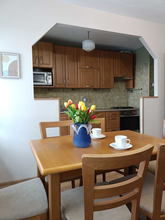 Do wynajęcia 4-pokojowe, jasne i słoneczne mieszkanie z pięknym widokiem. - Widok 2