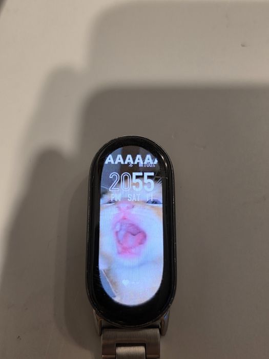 Xiaomi Smart Band 9