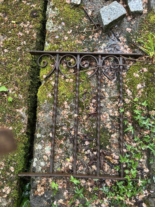 Gradeamento em ferro.