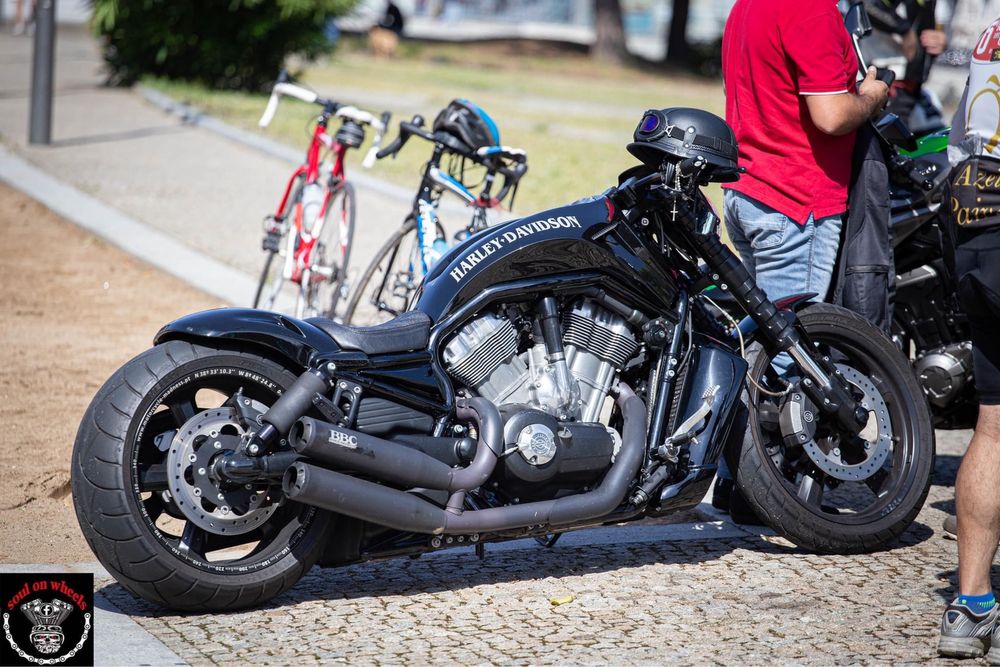 Harley Davison Vrood Muscle