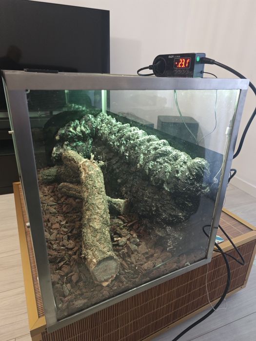 Terrario em inox