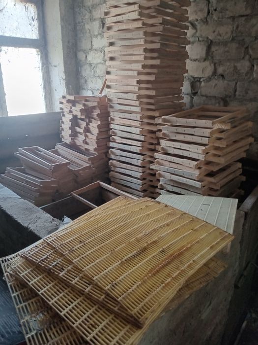 Продам пасеку со всем оборудованием .Розгляну