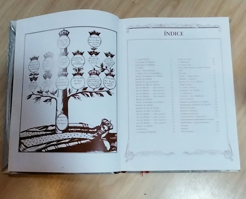 Livro antigo A história da nossa família
