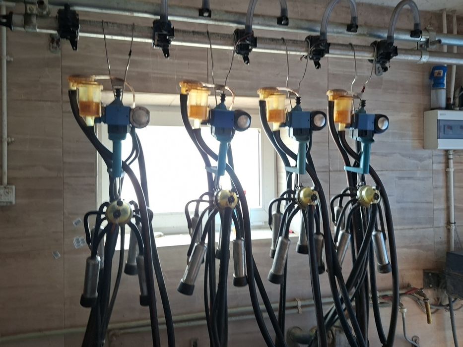 Dojarka Alfa laval 4 aparaty bezprzewodowa