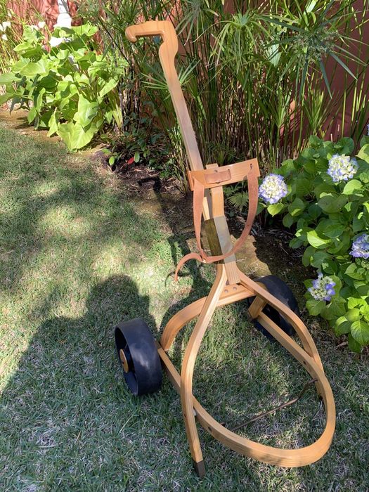 Carro de Golfe ~ Vintage.64873973526913121