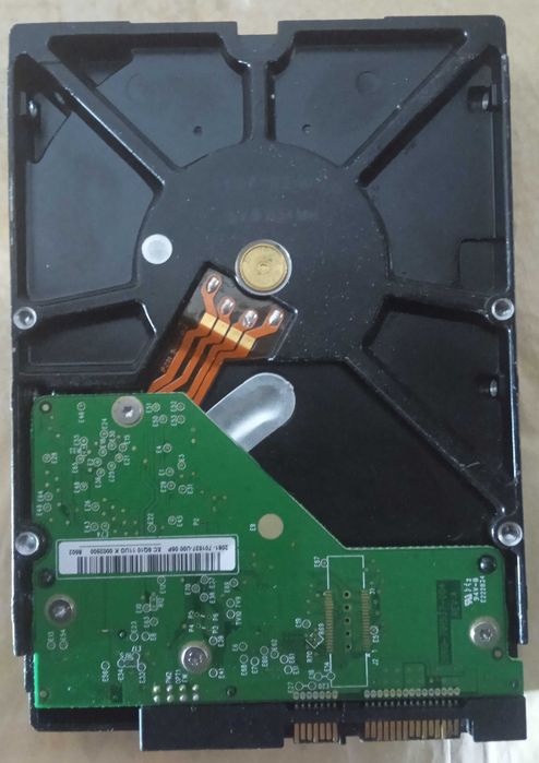 HDD Western Digital 3,5" 1Tb
