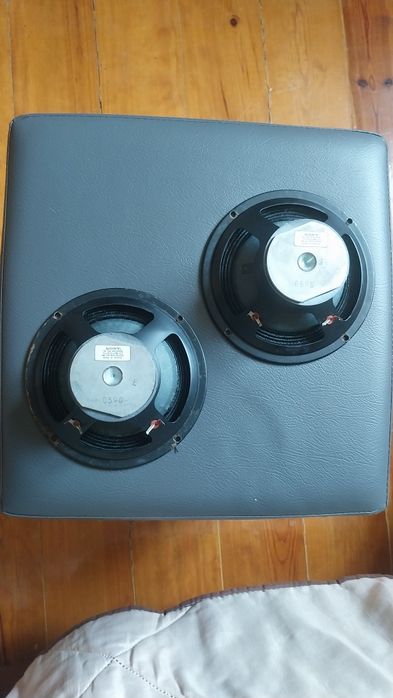 Colunas/Woofers 16cm Sony