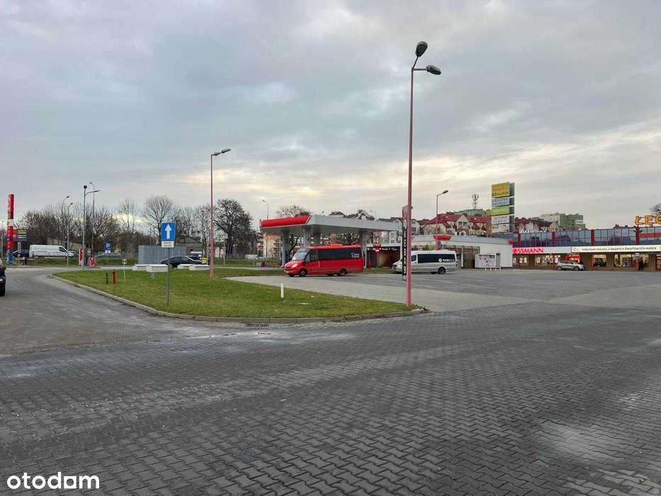 Zdjęcie 6