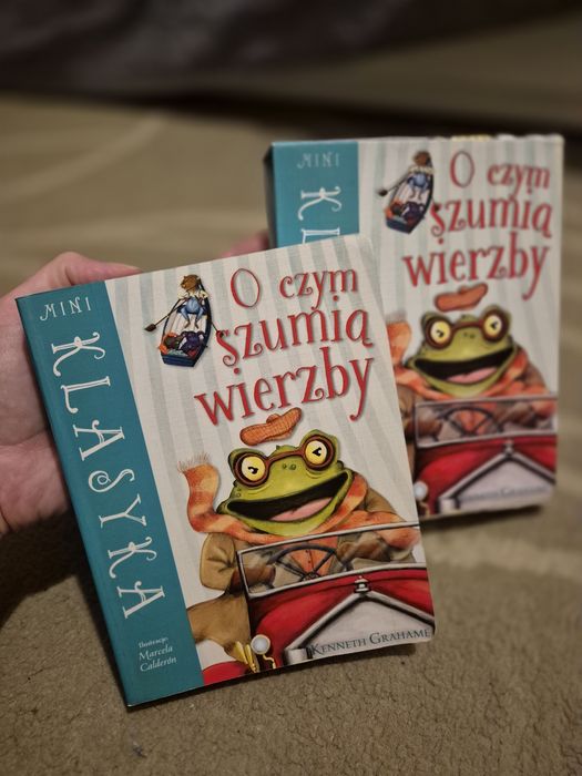 O czym szumią wierzby Kenneth Grahame
