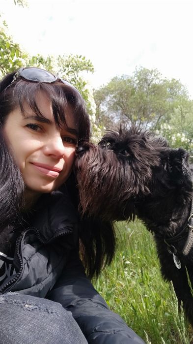 Перетримка собак , котиків, інших тварин