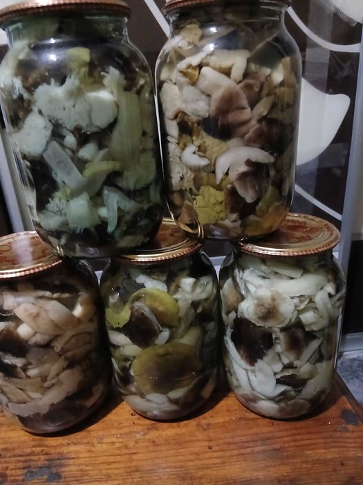 Гриби мариновані лисички