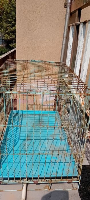 Gaiola grande. Robusta. Usada para papagaio