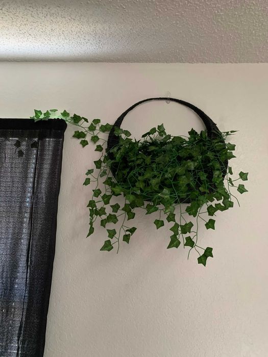 Sztuczny bluszcz 50 m na ścianę balkon taras dekoracja 50 metrów