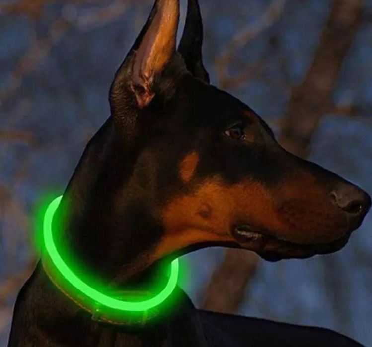 Coleira Led Green USB Charger - Ctt Grátis 48 Horas