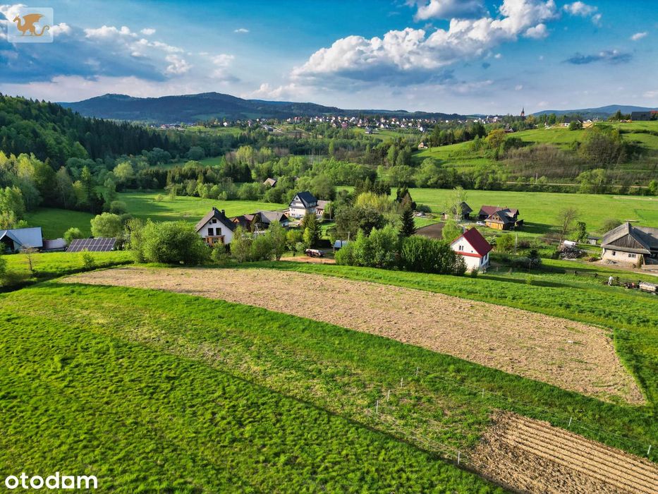 Zdjęcie 6