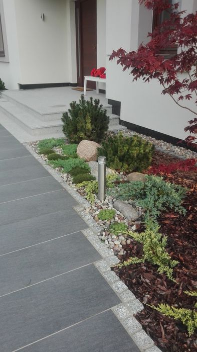 Kora sosnowa 60 litrów dostawa